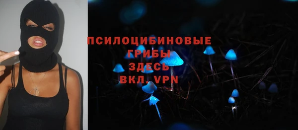 2c-b Алексин